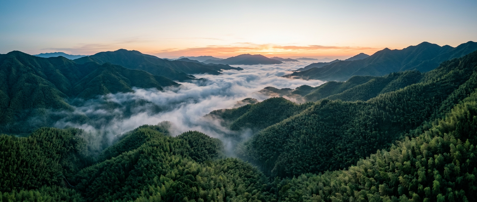 安吉竹海云海远山